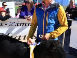 2019_ausstellung polling_384